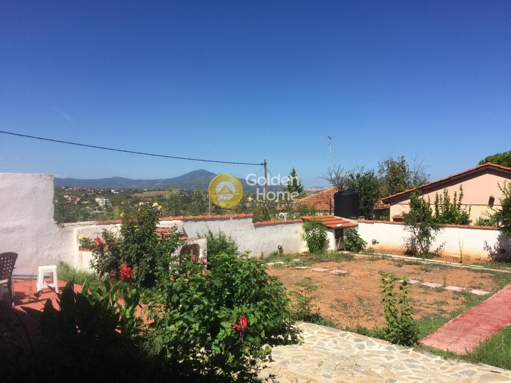 Μονοκατοικία στην Πλάκα Δήλεσι, Οινόφυτα — Φωτογραφία 8 από 31