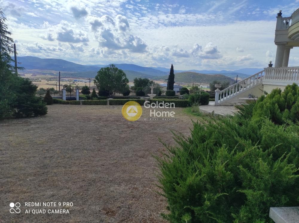 Μονοκατοικία στην Ύπατο, Θήβα — Φωτογραφία 9 από 11