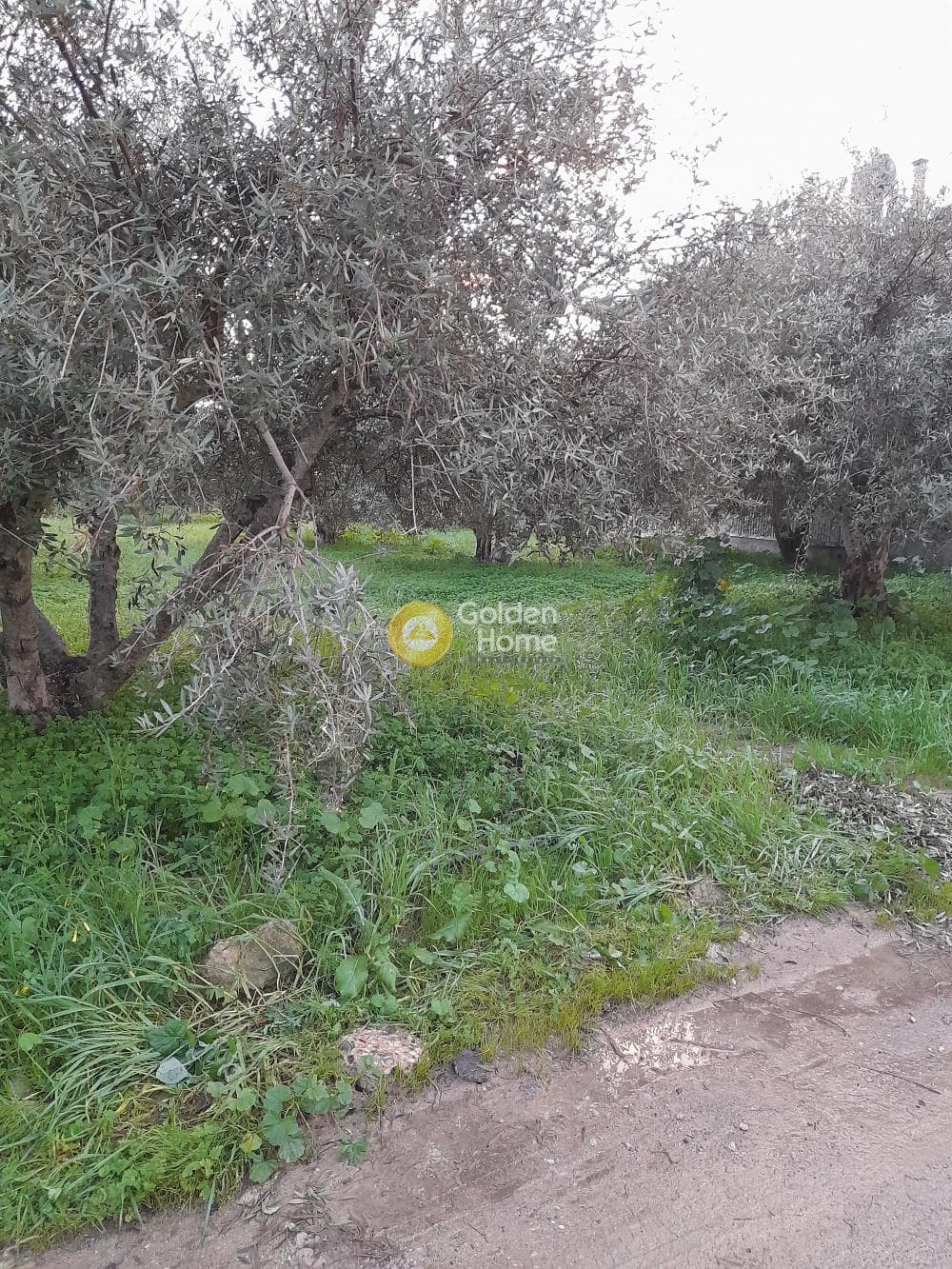 Building Plot in Kappariana, Moires — Photo 3 of 3