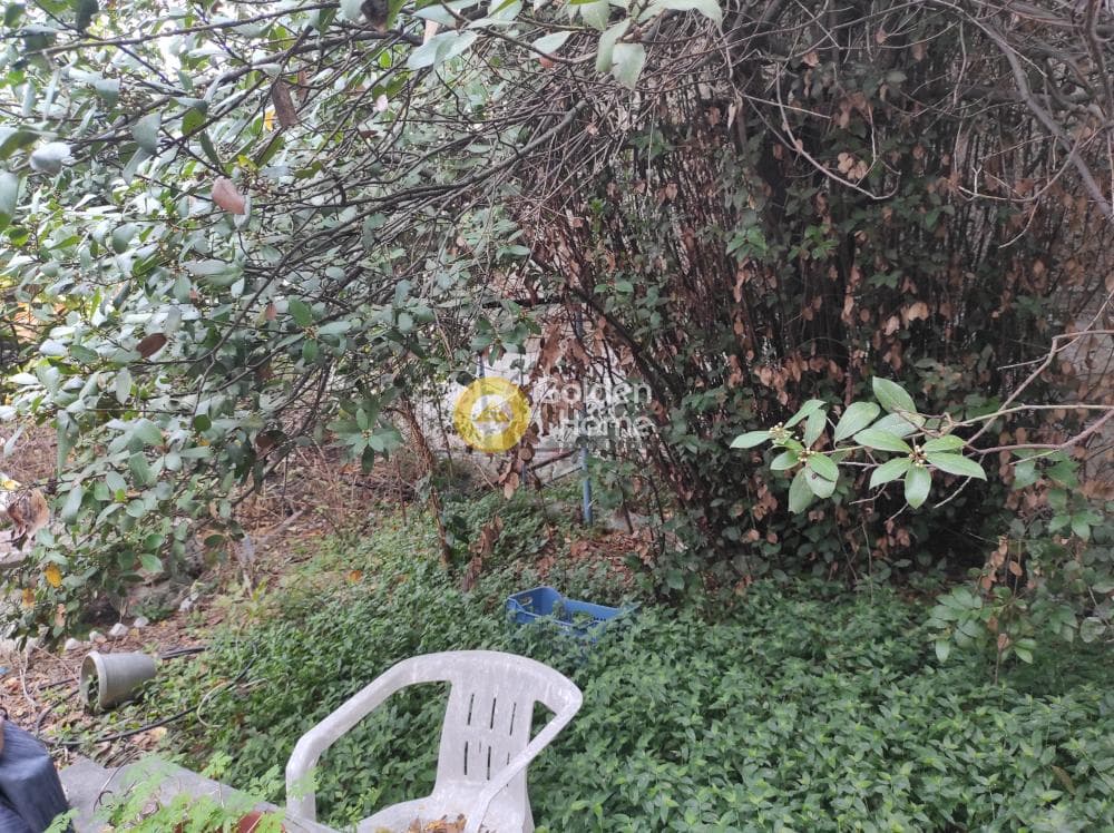 House in Revitheika, Vagies — Photo 8 of 11