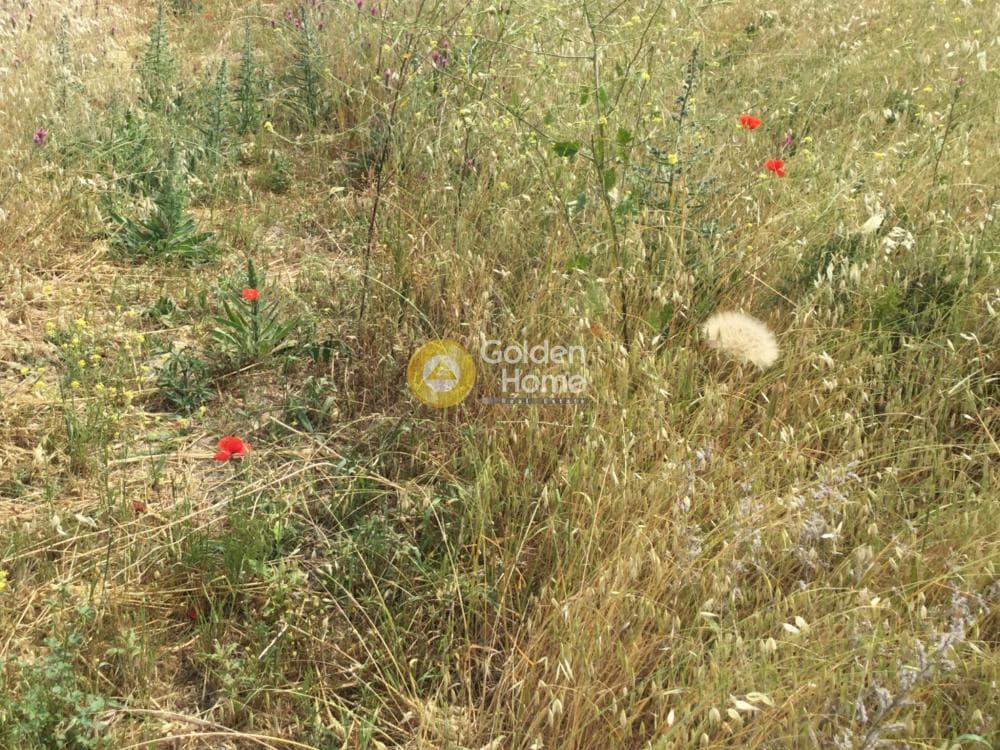 Οικόπεδο στην Άνωθεν Περιφερειακού, Εύοσμος — Φωτογραφία 3 από 3