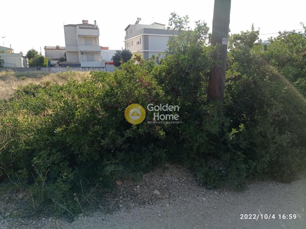 Οικόπεδο στην Καλύβια, Καλύβια Θορικού — Φωτογραφία 2 από 5