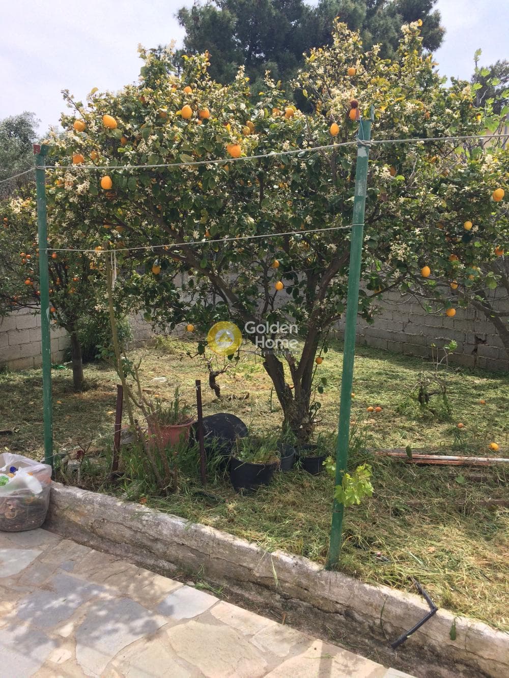 Μονοκατοικία στην Καλύβια, Καλύβια Θορικού — Φωτογραφία 7 από 11