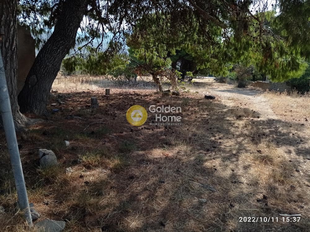 Αγροτεμάχιο στην Κέντρο, Καλύβια Θορικού — Φωτογραφία 1 από 13