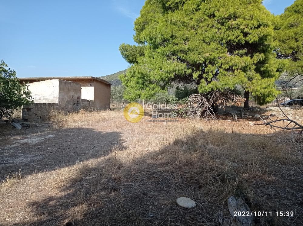 Αγροτεμάχιο στην Κέντρο, Καλύβια Θορικού — Φωτογραφία 8 από 13