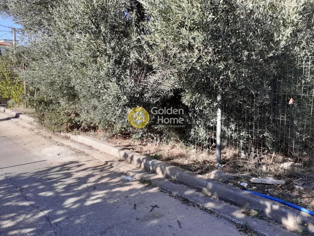 Οικόπεδο στην Πευκάκια, Αγία Παρασκευή — Φωτογραφία 1 από 6