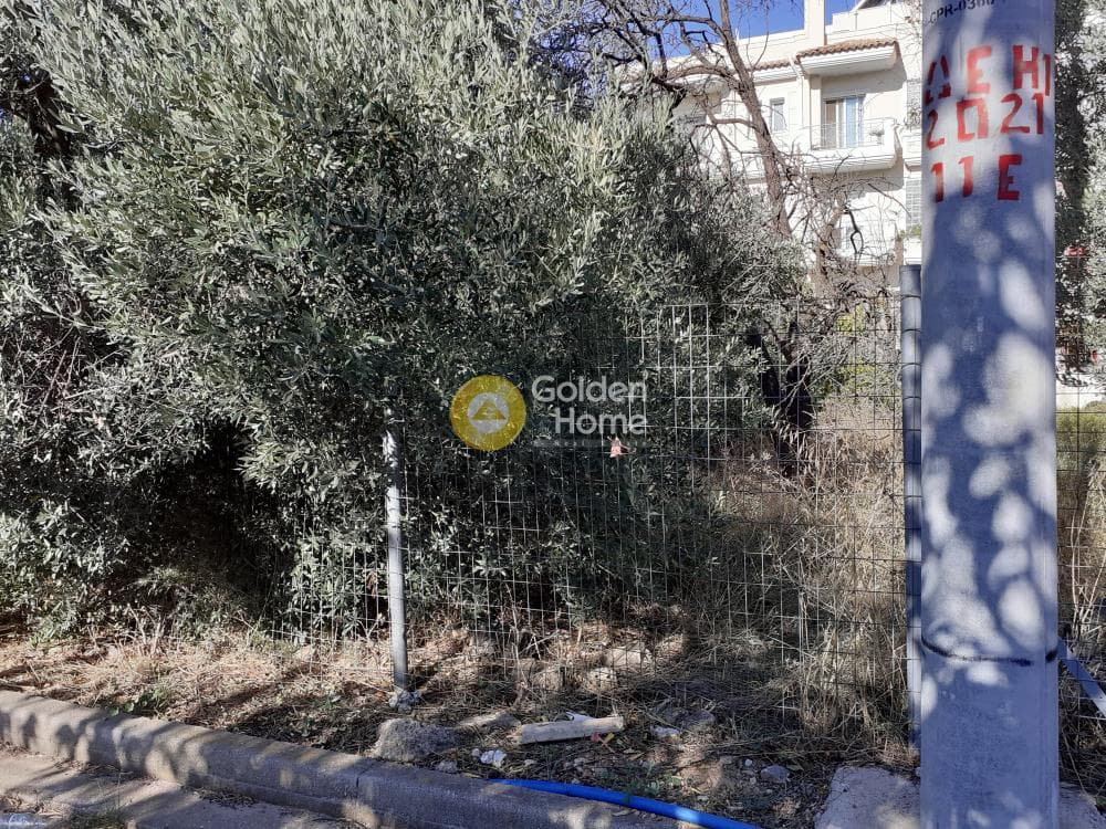 Οικόπεδο στην Πευκάκια, Αγία Παρασκευή — Φωτογραφία 5 από 6