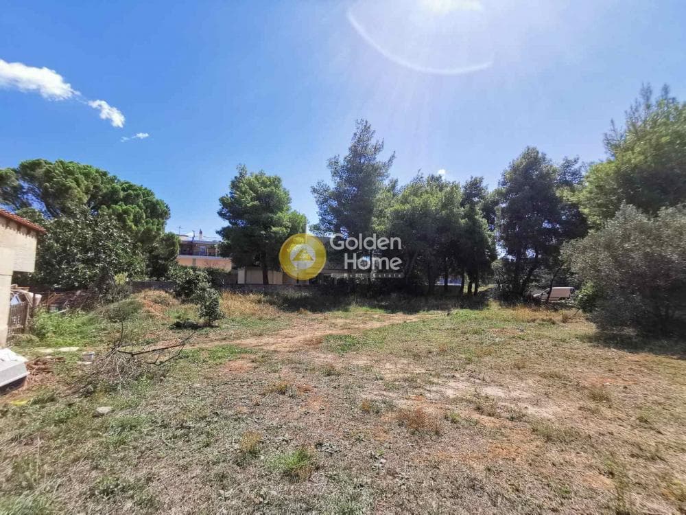 Οικόπεδο στην Αδάμες (Οικισμός Πελοποννησίων), Κηφισιά — Φωτογραφία 1 από 8