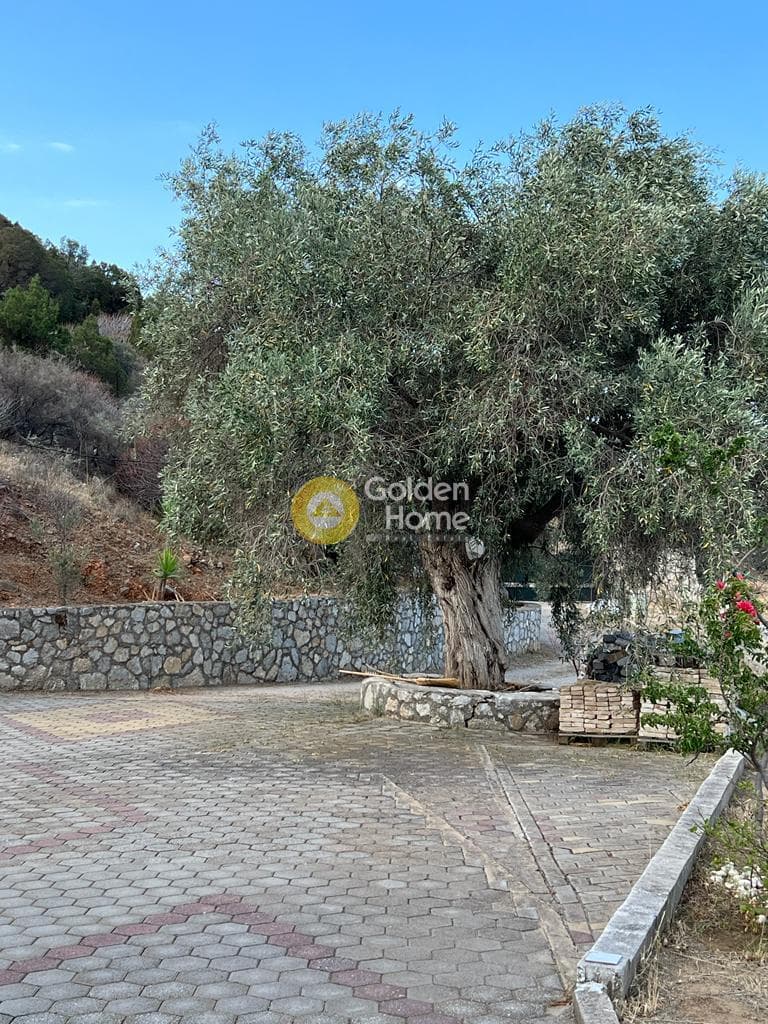 Μονοκατοικία στην Άγιος Ισίδωρος, Αντικύρα — Φωτογραφία 7 από 17