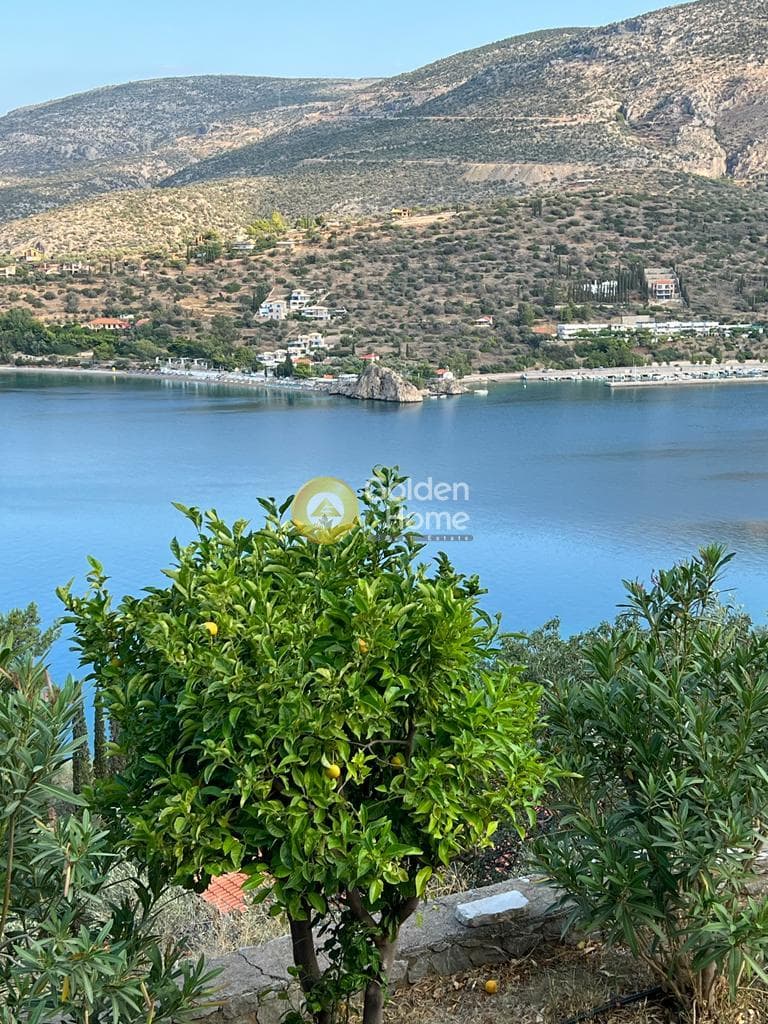 Μονοκατοικία στην Άγιος Ισίδωρος, Αντικύρα — Φωτογραφία 1 από 17