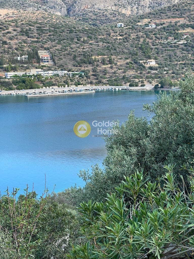 Μονοκατοικία στην Άγιος Ισίδωρος, Αντικύρα — Φωτογραφία 15 από 17