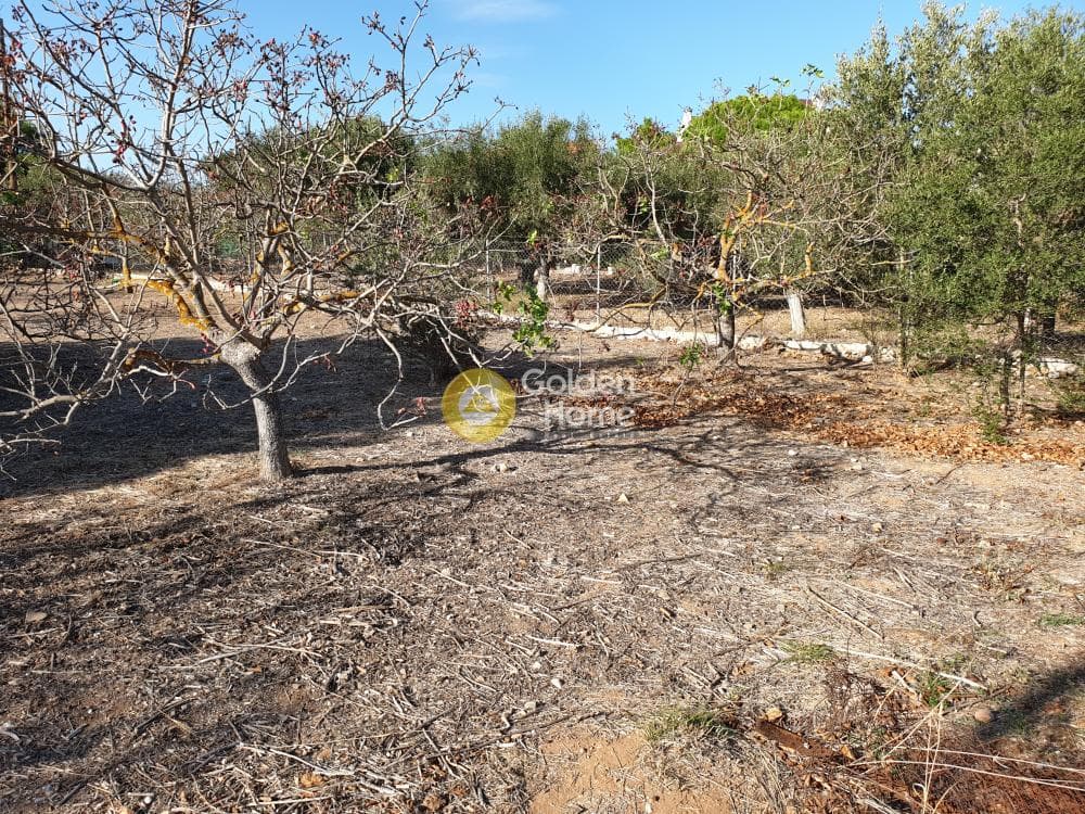 Building Plot in Agia Marina, Koropi — Photo 1 of 2