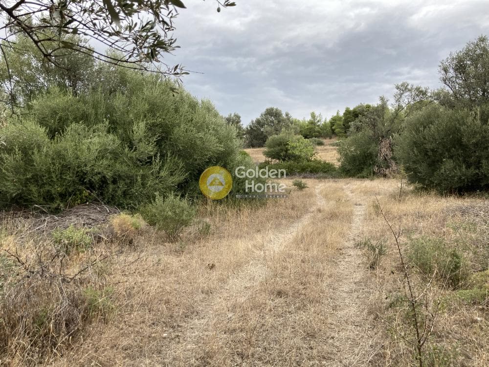 Parcel in Neapoli, Spata