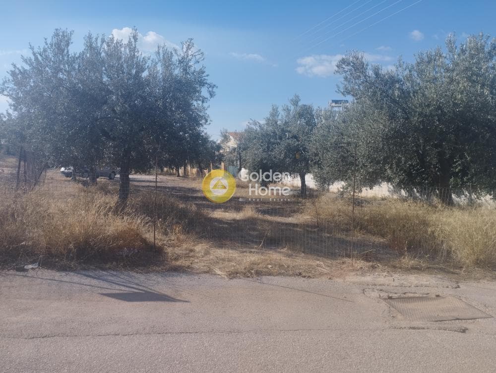 Αγροτεμάχιο στην Γαλάζια ακτή, Καλύβια Θορικού — Φωτογραφία 1 από 4