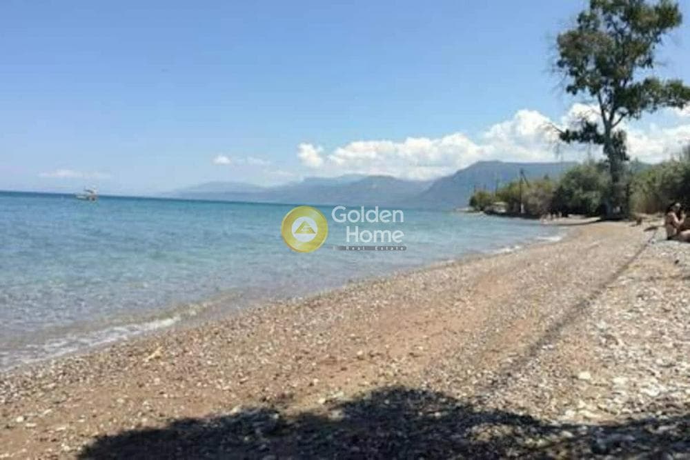 Μονοκατοικία στην Βαλιμίτικα, Αίγιο — Φωτογραφία 21 από 21