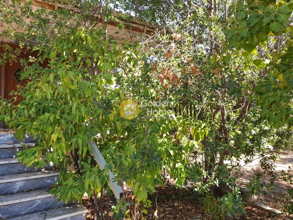 Building Plot in Lofos Kselaftaki, Kalivia Thorikou — Photo 2 of 3