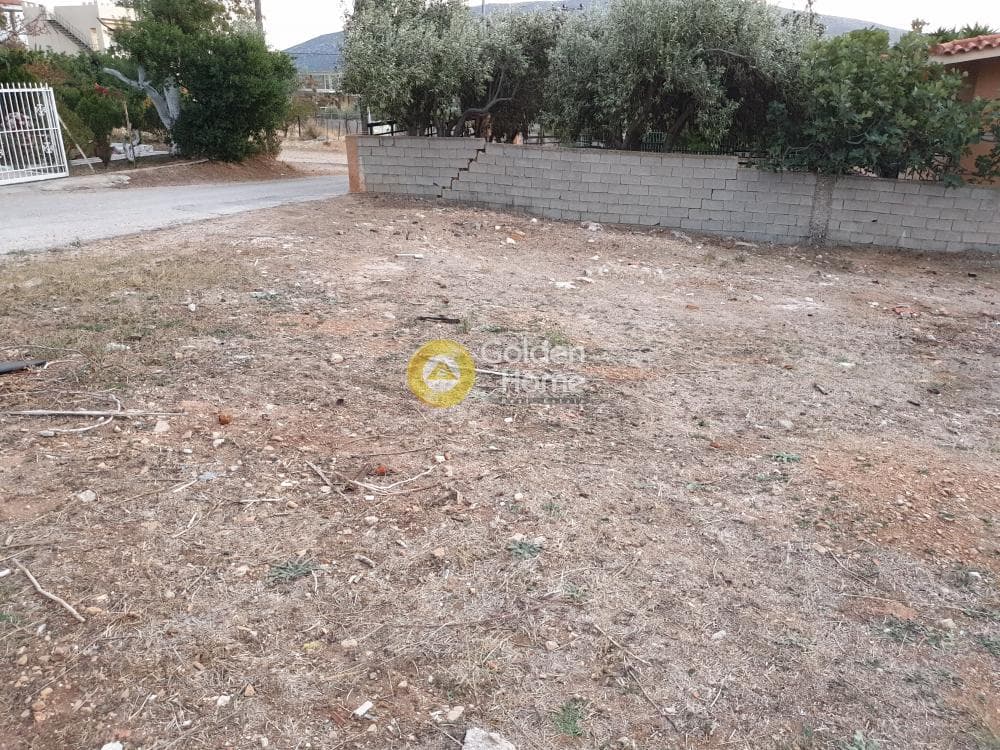 Building Plot in Kalivia, Kalivia Thorikou — Photo 4 of 4