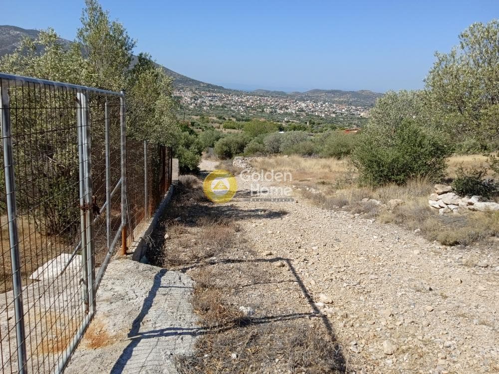 Αγροτεμάχιο στην Κέντρο, Καλύβια Θορικού — Φωτογραφία 1 από 4