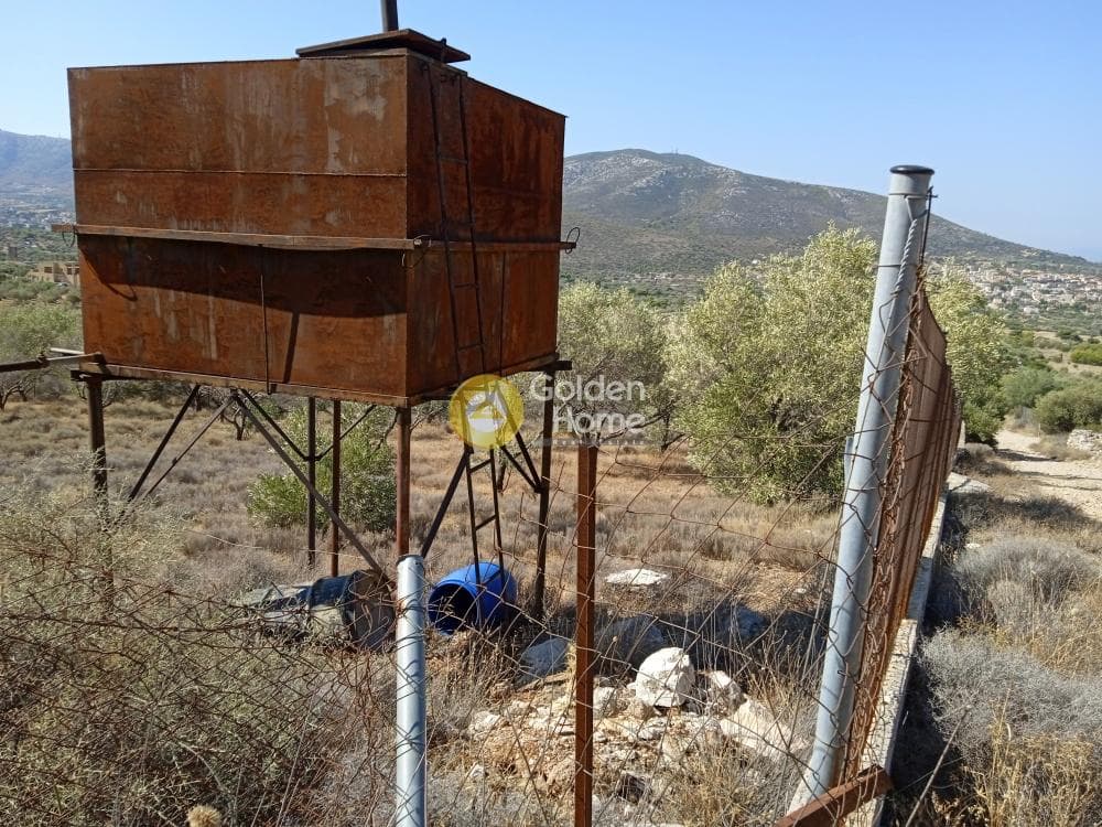 Αγροτεμάχιο στην Κέντρο, Καλύβια Θορικού — Φωτογραφία 3 από 4