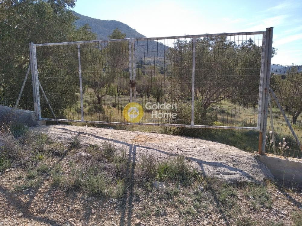 Αγροτεμάχιο στην Κέντρο, Καλύβια Θορικού — Φωτογραφία 4 από 4