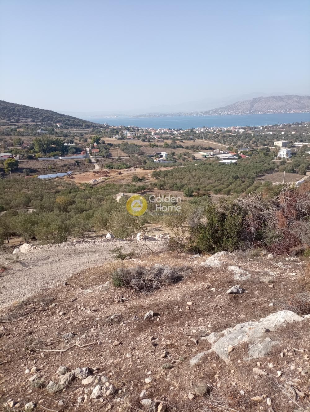 Αγροτεμάχιο στην Δημητράνη, Σαλαμίνα — Φωτογραφία 3 από 3