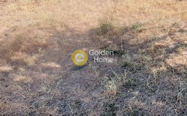 Οικόπεδο στην Πάτημα, Χαλάνδρι — Φωτογραφία 4 από 5