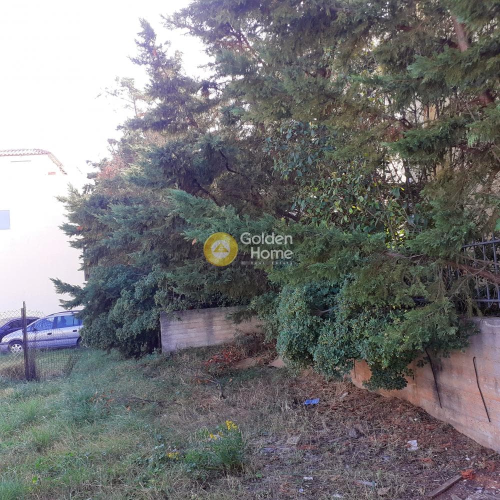 Οικόπεδο στην Πάτημα, Χαλάνδρι — Φωτογραφία 2 από 5