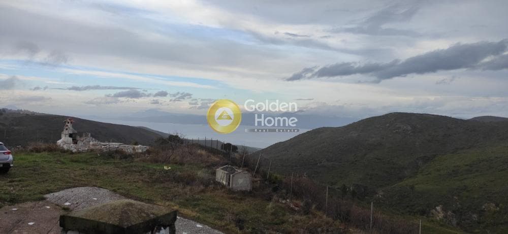 Μονοκατοικία στην Κέντρο, Κ. Καπανδριτίου — Φωτογραφία 9 από 9