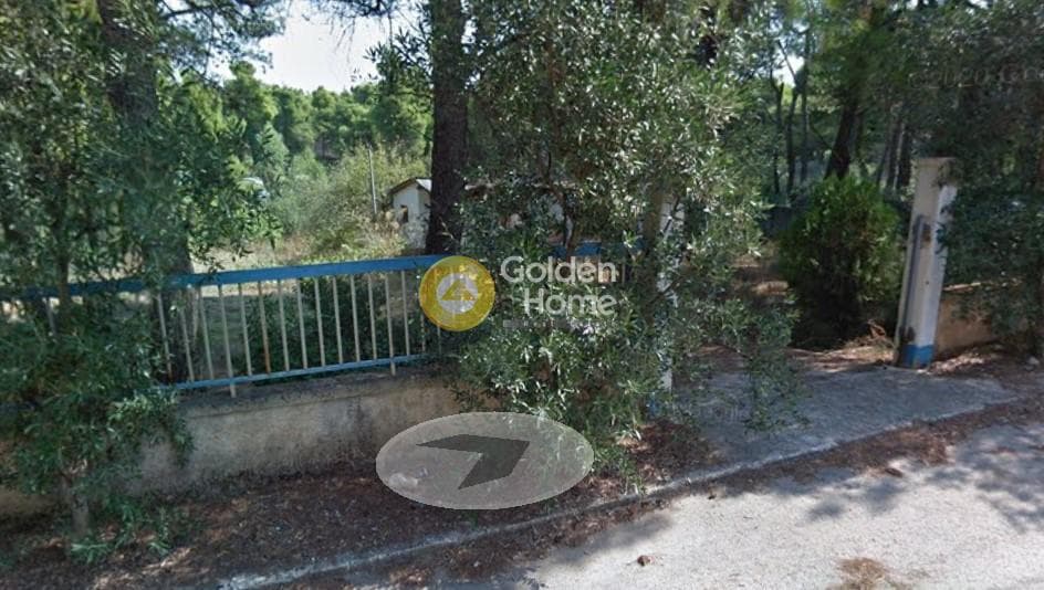 Οικόπεδο στην Δροσιά, Δροσιά