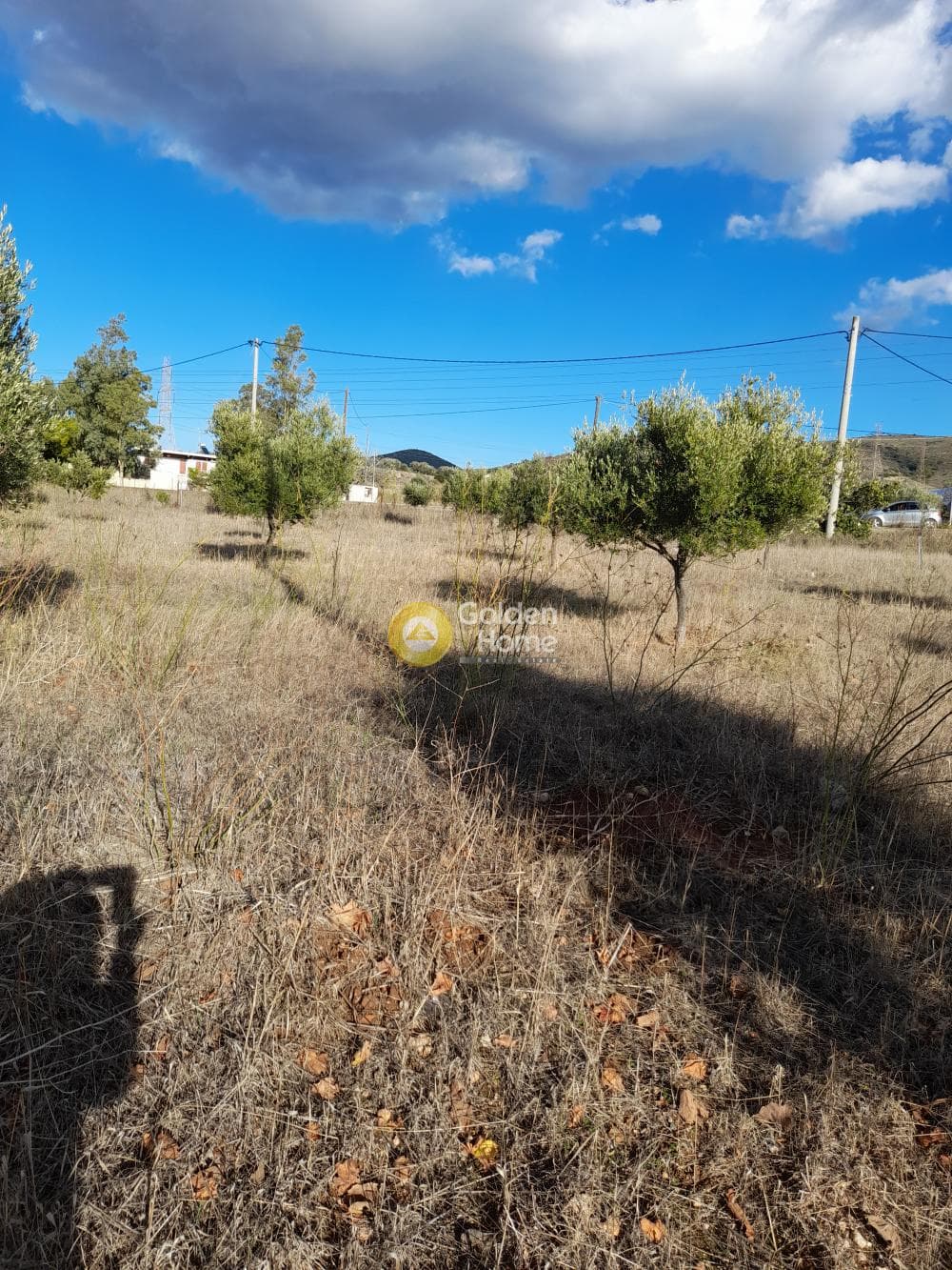 Αγροτεμάχιο στην Μανούτσο, Κερατέα — Φωτογραφία 4 από 7