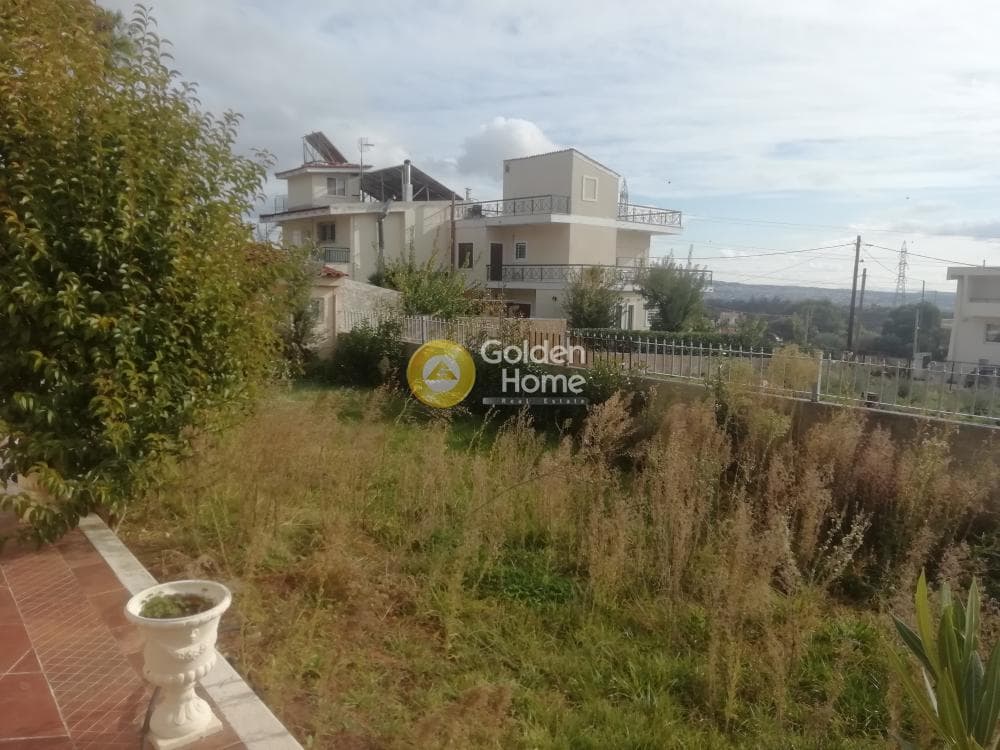 House in Megala Sxoinia A, Acharnes — Photo 37 of 37
