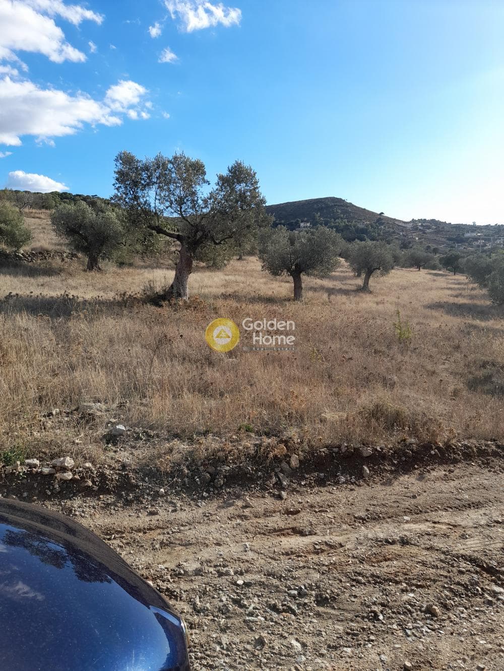 Αγροτεμάχιο στην Μανούτσο, Κερατέα — Φωτογραφία 2 από 5
