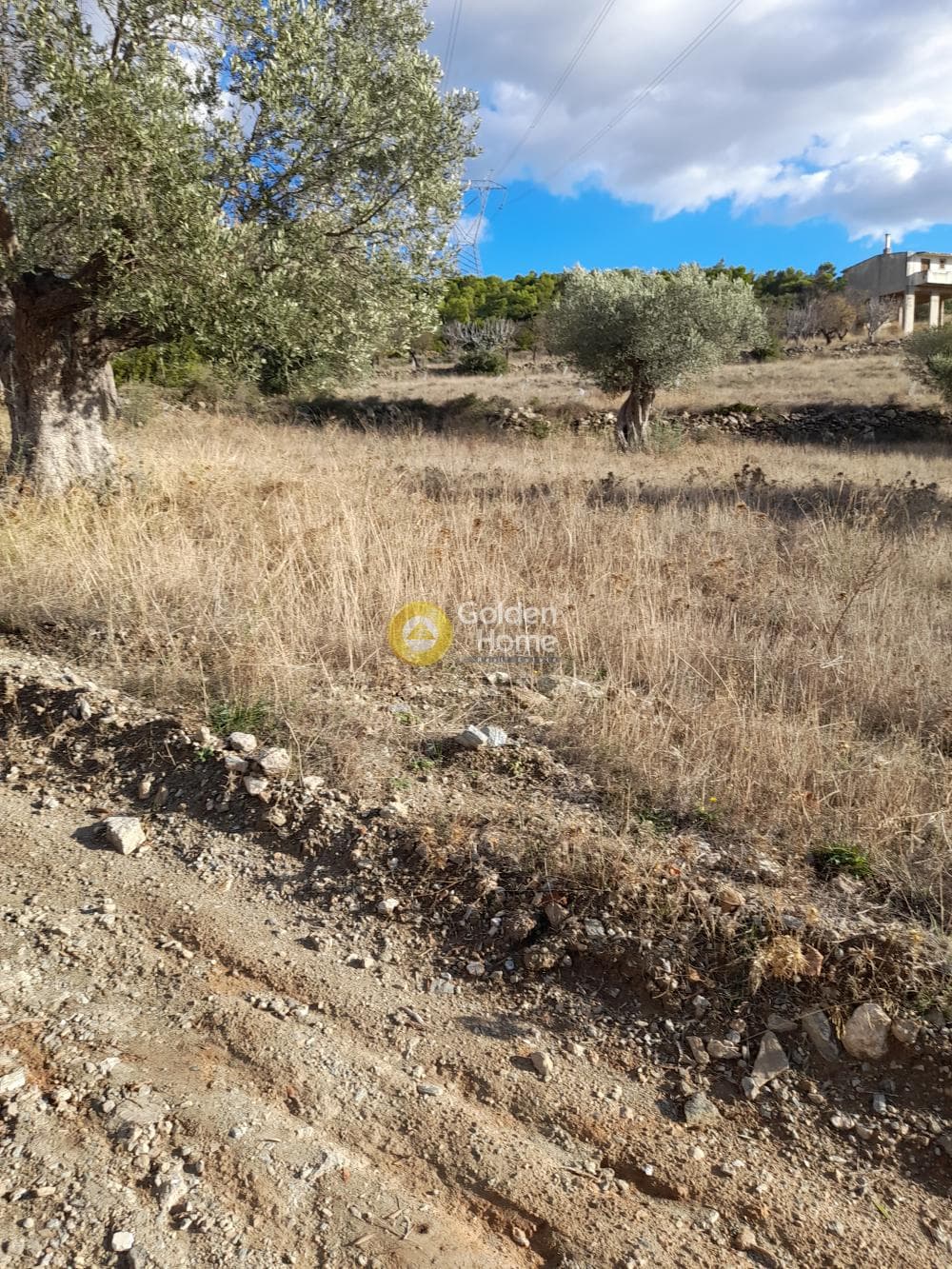 Αγροτεμάχιο στην Μανούτσο, Κερατέα — Φωτογραφία 3 από 5