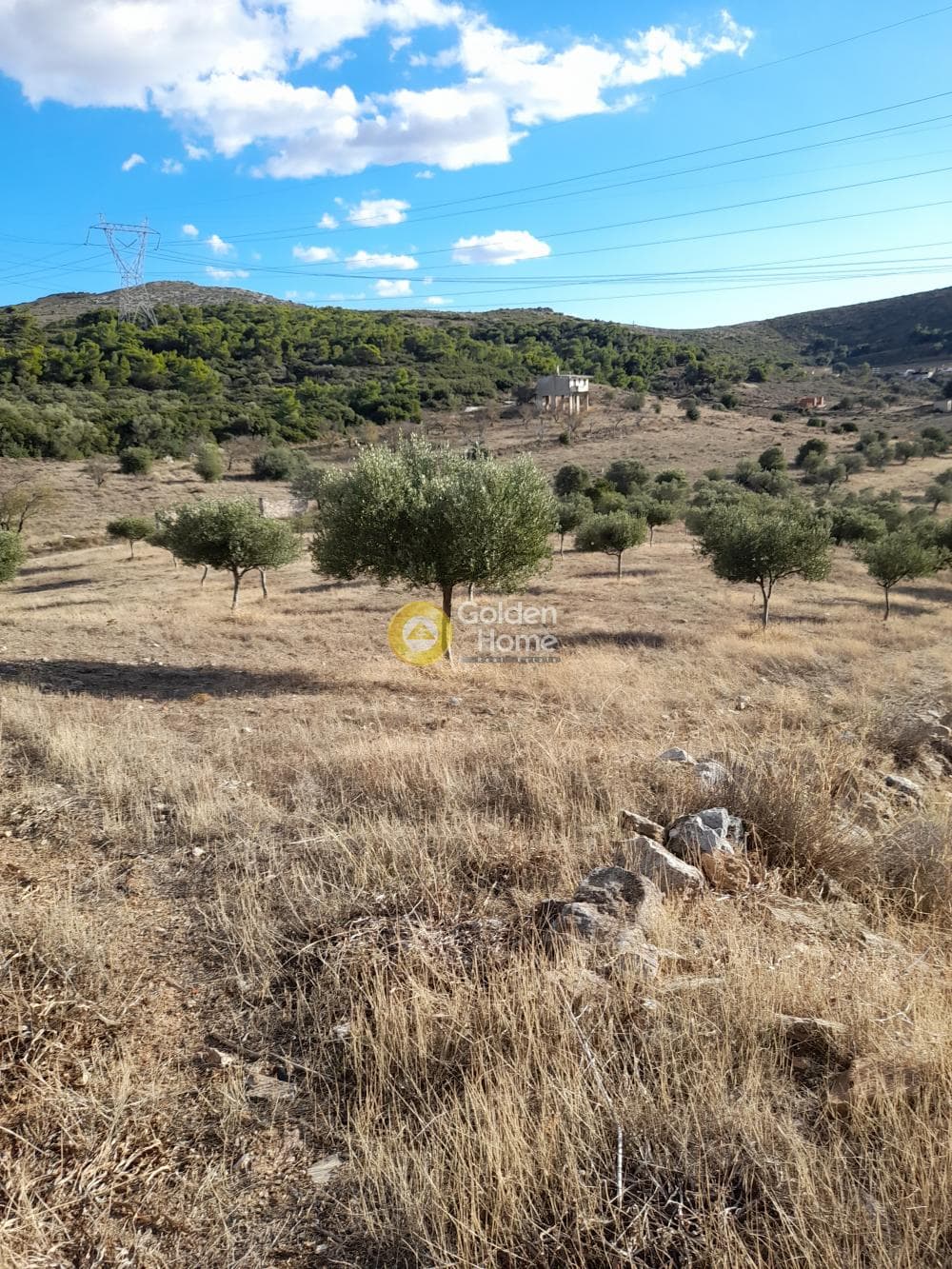 Αγροτεμάχιο στην Μανούτσο, Κερατέα — Φωτογραφία 4 από 5