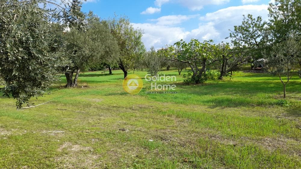 Οικόπεδο στην Μεγάλα Σχοινία Α, Αχαρνές — Φωτογραφία 5 από 12