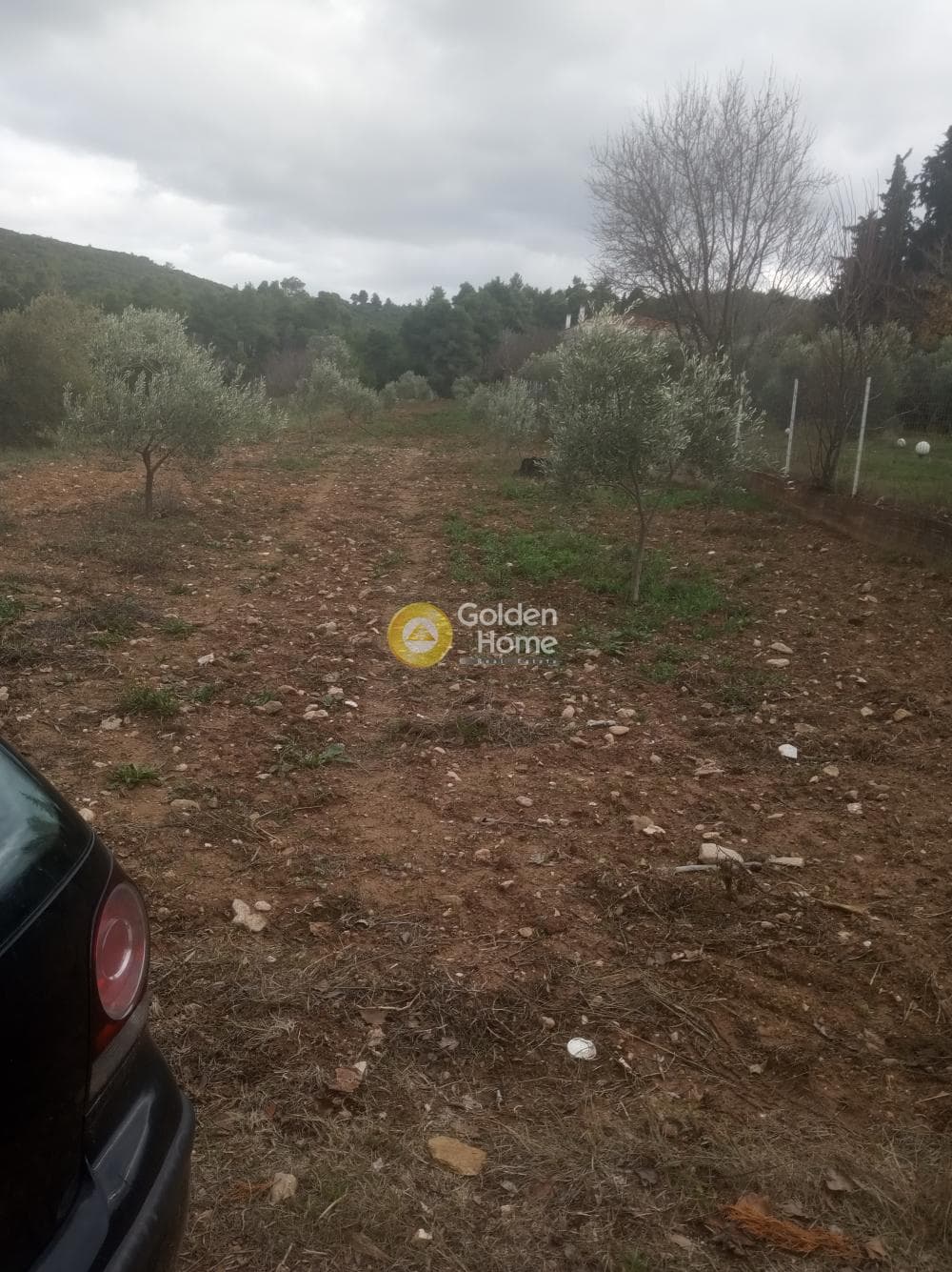 Parcel in Amigdaleza, Stamata — Photo 2 of 3
