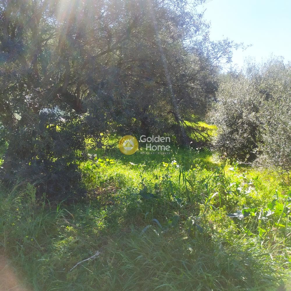 Οικόπεδο στην Ανάληψη, Γούβες — Φωτογραφία 2 από 8