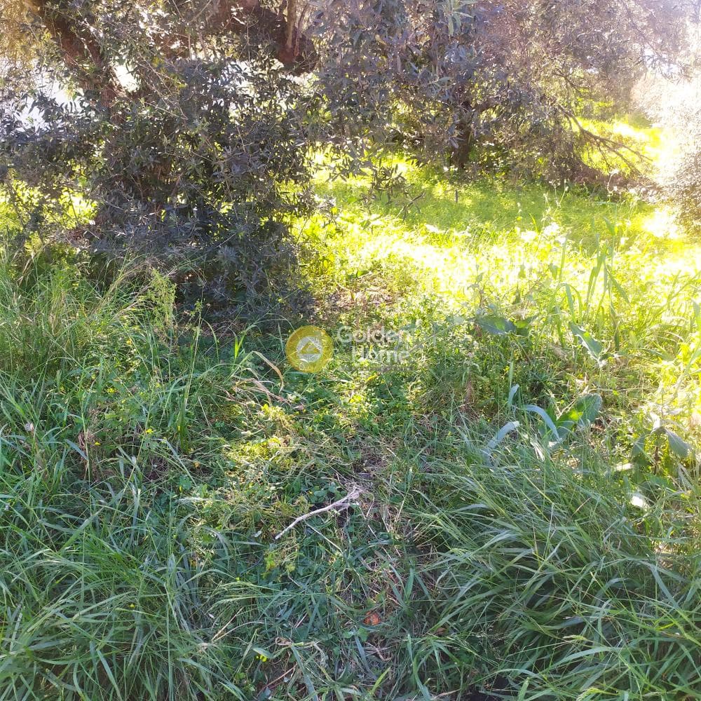 Οικόπεδο στην Ανάληψη, Γούβες — Φωτογραφία 5 από 8