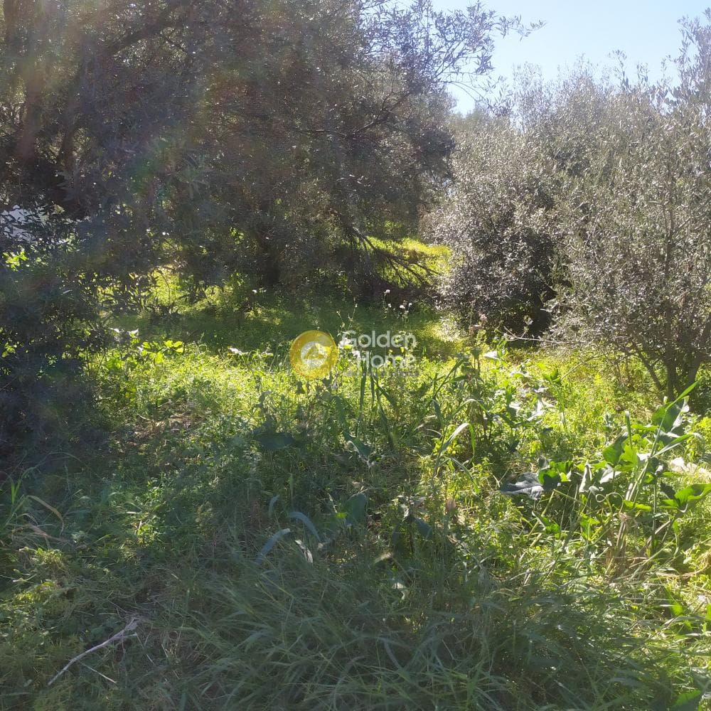 Οικόπεδο στην Ανάληψη, Γούβες — Φωτογραφία 7 από 8