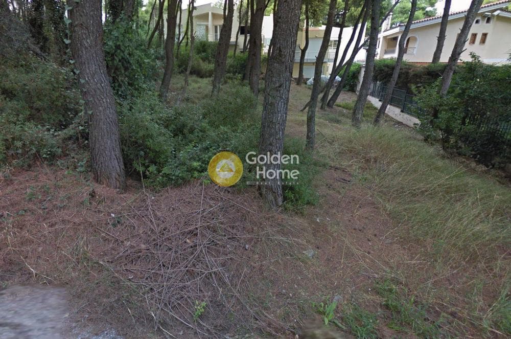 Building Plot in Kapitenia, Agios Stefanos — Photo 1 of 3