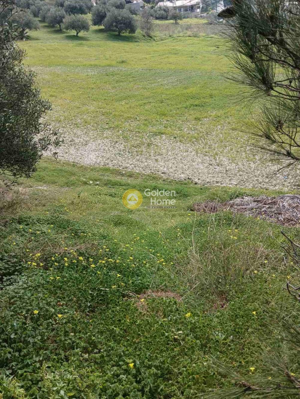 Building Plot in Vasileies, Archanes — Photo 4 of 6