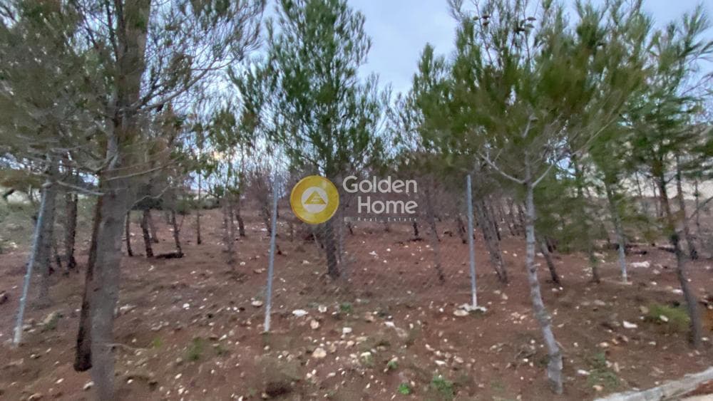 Οικόπεδο στην Καλλιθέα, Πεντέλη — Φωτογραφία 4 από 4