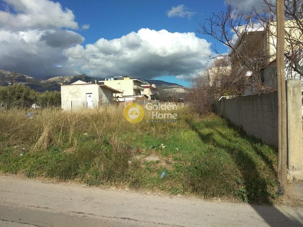 Αγροτεμάχιο στην Μεγάλα Σχοινία Α, Αχαρνές — Φωτογραφία 1 από 7