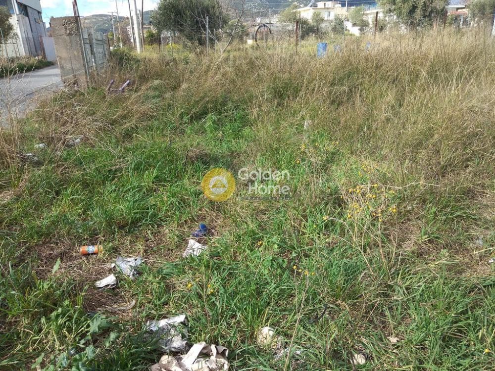 Αγροτεμάχιο στην Μεγάλα Σχοινία Α, Αχαρνές — Φωτογραφία 5 από 7