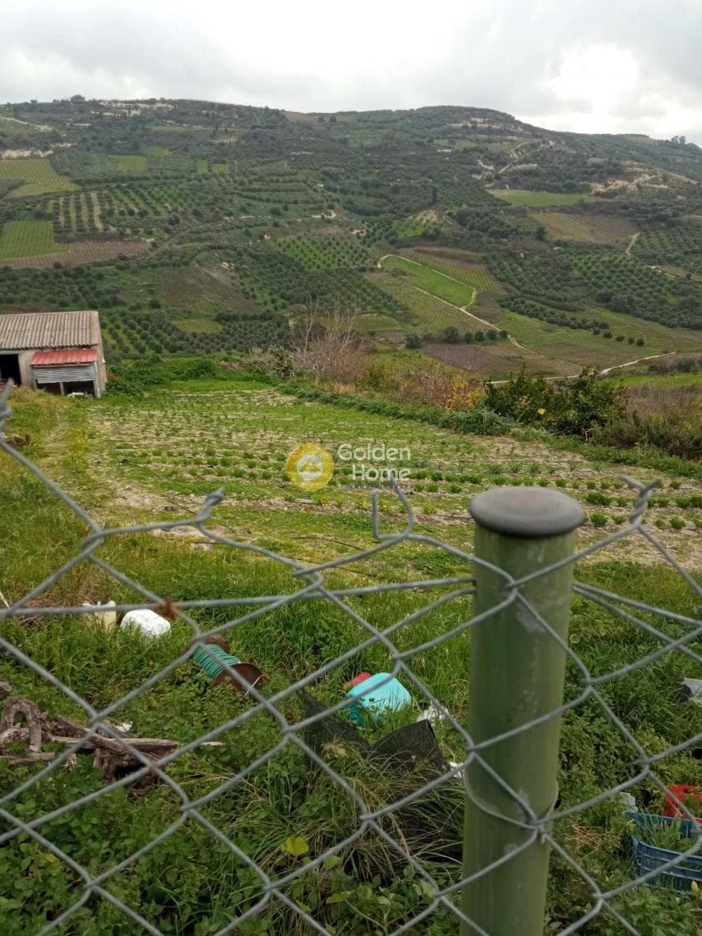 Οικόπεδο στην Δαφνές, Τετραχώρι — Φωτογραφία 1 από 4