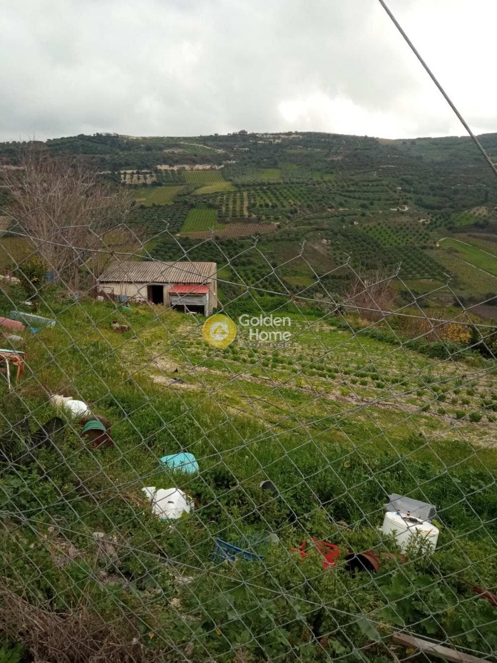 Οικόπεδο στην Δαφνές, Τετραχώρι — Φωτογραφία 4 από 4