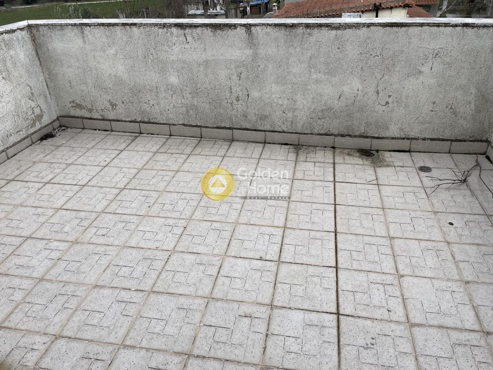 Μονοκατοικία στην Φίλυρο, Πεύκα — Φωτογραφία 21 από 39