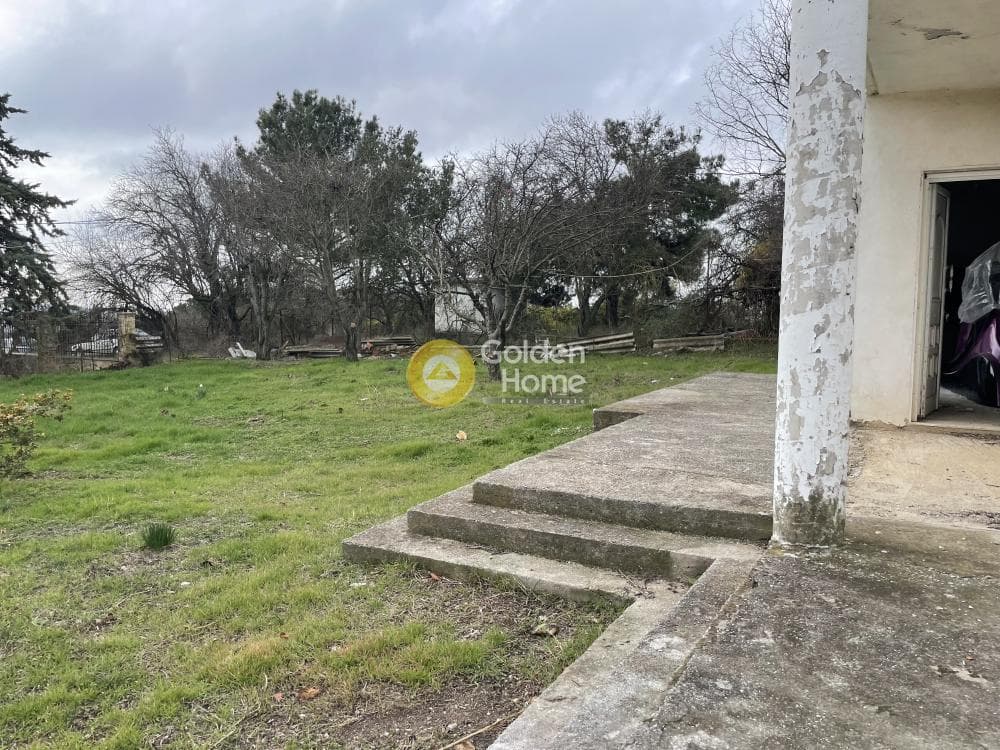 Μονοκατοικία στην Φίλυρο, Πεύκα — Φωτογραφία 32 από 39