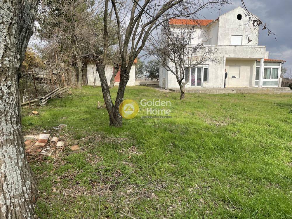 Μονοκατοικία στην Φίλυρο, Πεύκα — Φωτογραφία 38 από 39