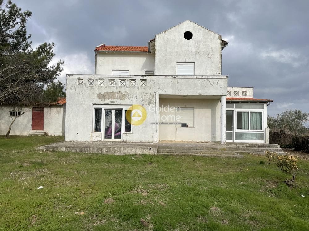 Μονοκατοικία στην Φίλυρο, Πεύκα — Φωτογραφία 37 από 39